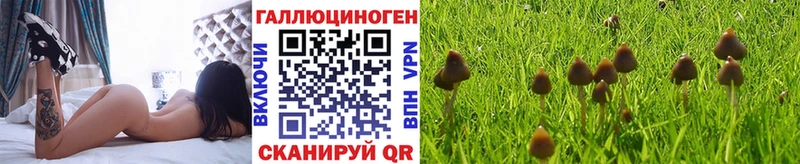 Галлюциногенные грибы Psilocybine cubensis  Владимир 